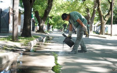 EL MUNICIPIO REALIZA TRABAJOS DE TOMADO DE JUNTAS EN LAS CALLES DEL DISTRITO