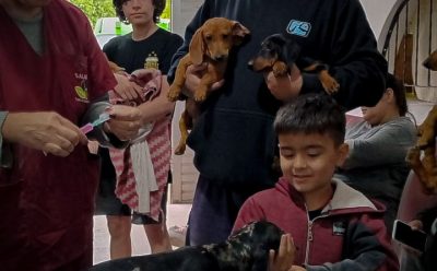 NUEVO OPERATIVO DE VACUNACIÓN ANTIRRÁBICA Y ATENCIÓN VETERINARIA EN MONTE GRANDE SUR