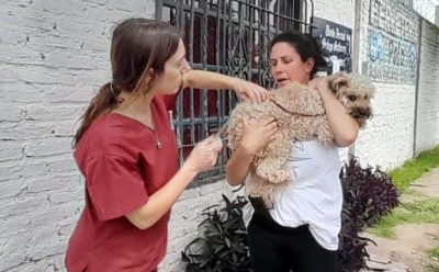 EL MUNICIPIO REALIZÓ UN OPERATIVO DE VACUNACIÓN ANTIRRÁBICA EN MONTE GRANDE
