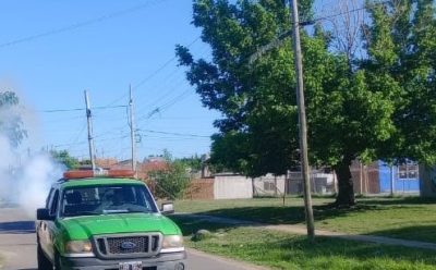 TAREAS DE FUMIGACIÓN EN CANNING