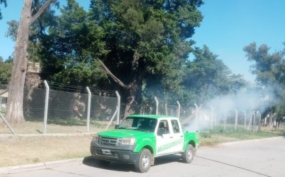 CONTINÚAN LAS TAREAS DE FUMIGACIÓN EN EL DISTRITO