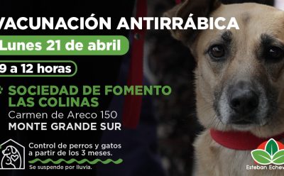 EL MUNICIPIO REALIZARÁ UN OPERATIVODE VACUNACIÓN ANTIRRÁBICA EN MONTE GRANDE SUR