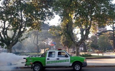 EL MUNICIPIO CONTINÚA CON LAS TAREAS DE FUMIGACIÓN EN EL DISTRITO