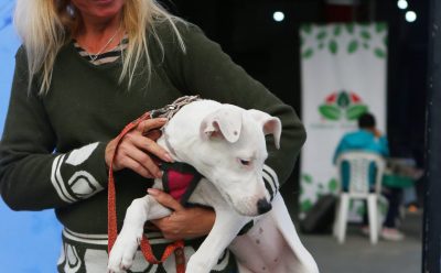NUEVA JORNADA DE VACUNACIÓN ANTIRRÁBICA PARA MASCOTAS EN MONTE GRANDE