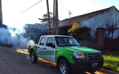 EL MUNICIPIO AVANZA CON LOS OPERATIVOS DE FUMIGACIÓN