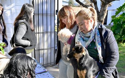 EL MUNICIPIO REALIZÓ NUEVOS OPERATIVOS DE VACUNACIÓN ANTIRRÁBICA EN MONTE GRANDE