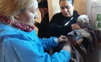 NUEVO OPERATIVO DE VACUNACIÓN ANTIRRÁBICA EN MONTE GRANDE SUR
