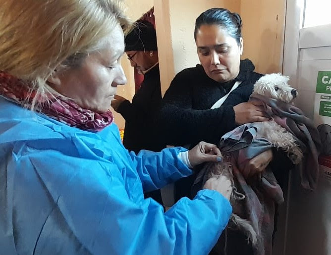 NUEVO OPERATIVO DE VACUNACIÓN ANTIRRÁBICA EN MONTE GRANDE SUR