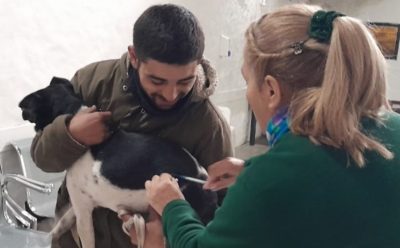 NUEVOS OPERATIVOS DE VACUNACIÓN ANTIRRÁBICA PARA MASCOTAS EN MONTE GRANDE