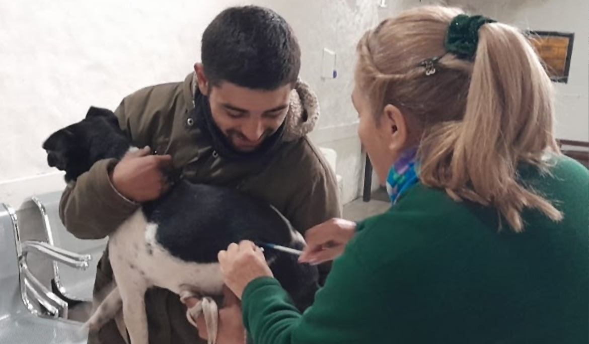 NUEVOS OPERATIVOS DE VACUNACIÓN ANTIRRÁBICA PARA MASCOTAS EN MONTE GRANDE
