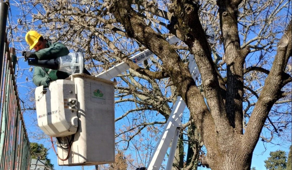 CANNING: EL MUNICIPIO REALIZÓ LA INSTALACIÓN Y EL REEMPLAZO DE LUMINARIAS LED EN LA PLAZA LAS FLORES