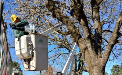 CANNING: EL MUNICIPIO REALIZÓ LA INSTALACIÓN Y EL REEMPLAZO DE LUMINARIAS LED EN LA PLAZA LAS FLORES