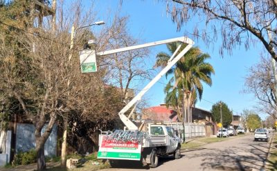 9 DE ABRIL: AVANZA LA INSTALACIÓN DE LUCES LED EN EL BARRIO PRIMERO DE MAYO