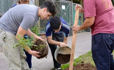 FONDO DE JUVENTUD Y ACCIÓN CLIMÁTICA DE BLOOMBERG PHILANTHROPIES: EL COLEGIO VICENTA VIDAL BOU Y LA ONG INICIATIVA SOLIDARIA AVANZAN EN SUS PROYECTOS MEDIOAMBIENTALES