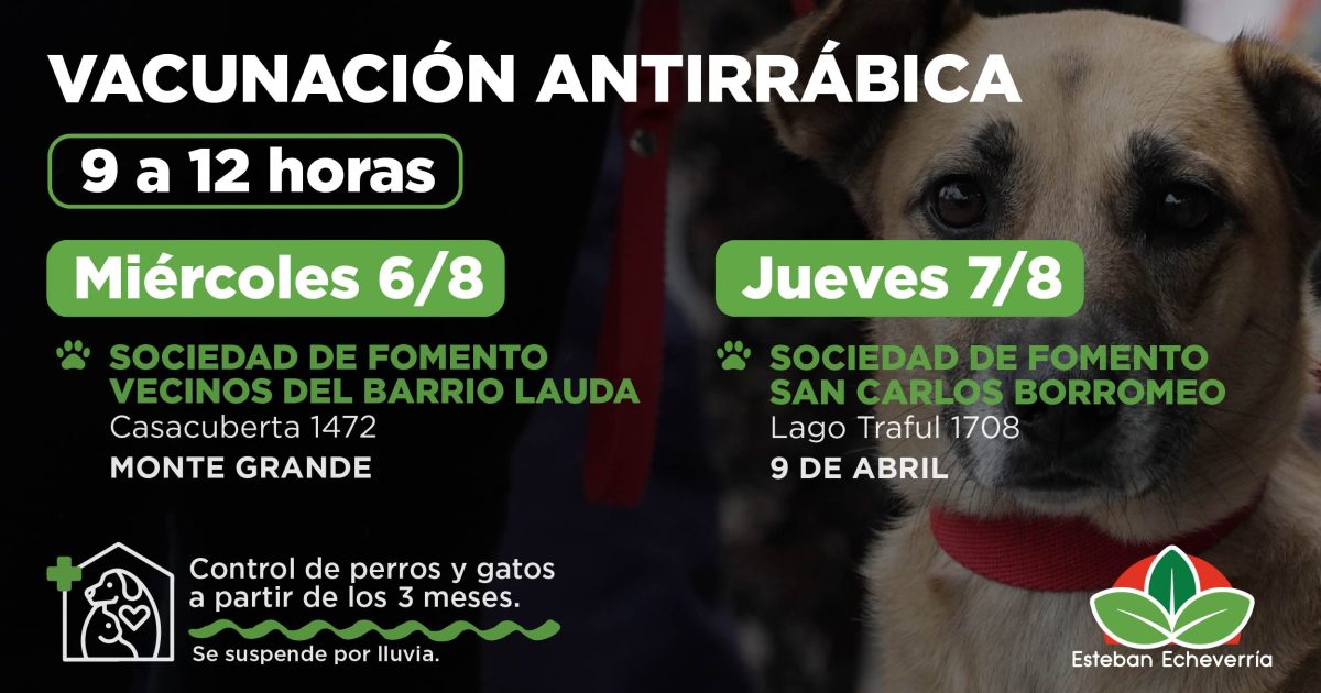 EL MUNICIPIO REALIZARÁ NUEVOS OPERATIVOS DE VACUNACIÓN ANTIRRÁBICA EN MONTE GRANDE Y 9 DE ABRIL