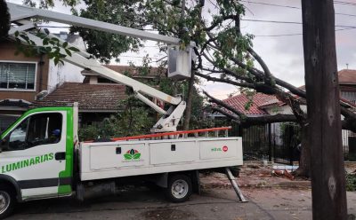 TRABAJOS DE LIMPIEZA EN LA VÍA PÚBLICA LUEGO DE LA TORMENTA