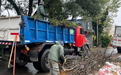 EL MUNICIPIO REALIZÓ TAREAS DE LIMPIEZA Y DESOBSTRUCCIÓN POR LLUVIA Y VIENTO