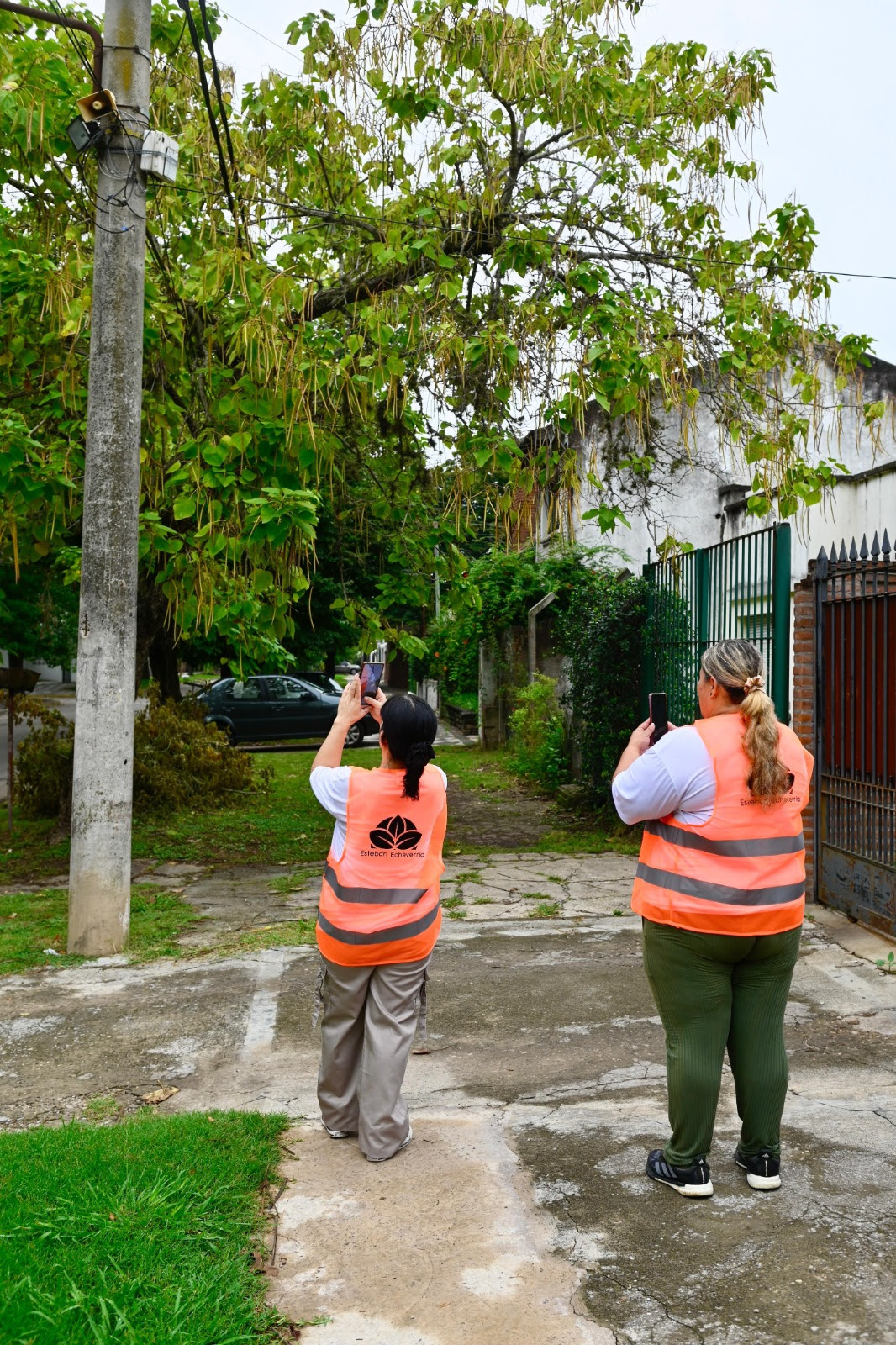 TRAS UN RELEVAMIENTO CON LA UTN, EL MUNICIPIO DENUNCIÓ ANTE EL ENRE EL MAL ESTADO DE POSTES Y CABLES DE EDESUR