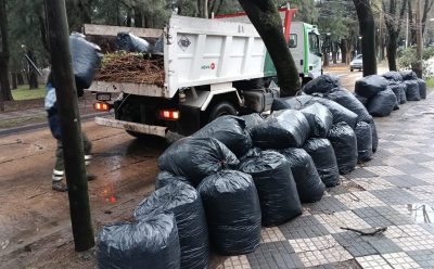 EL MUNICIPIO AVANZA CON LOS OPERATIVOS DE LIMPIEZA Y SANEAMIENTO TRAS LA TORMENTA
